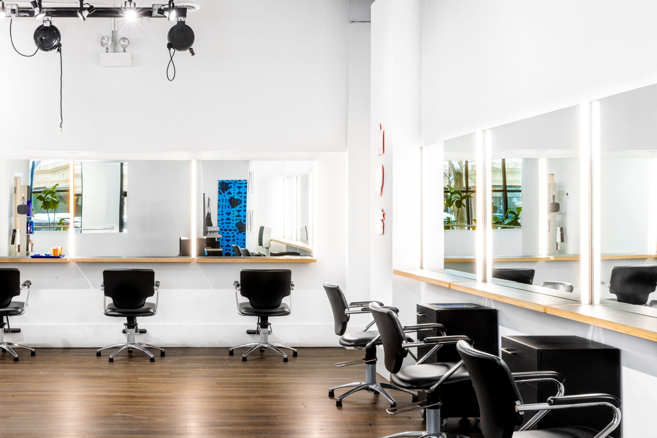 Chicago salon — 2