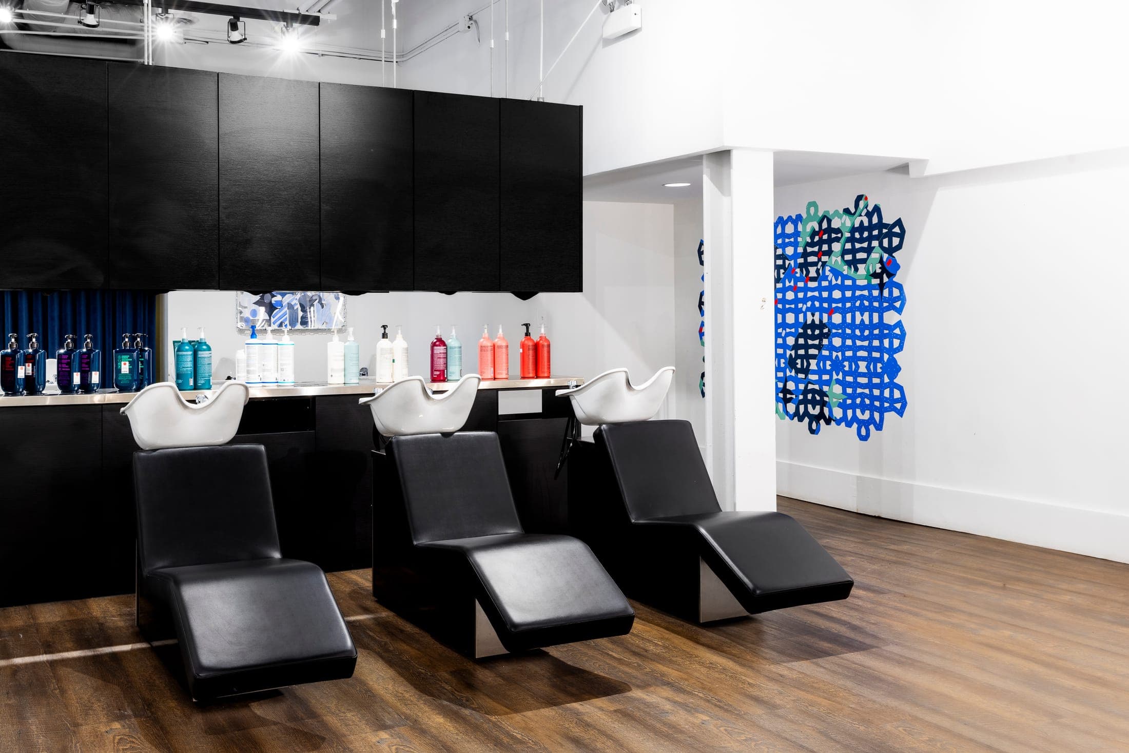 Chicago salon — 3