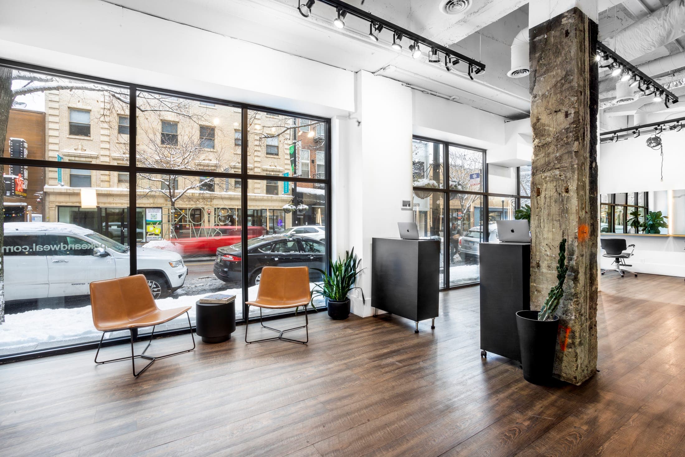 Chicago salon — 4