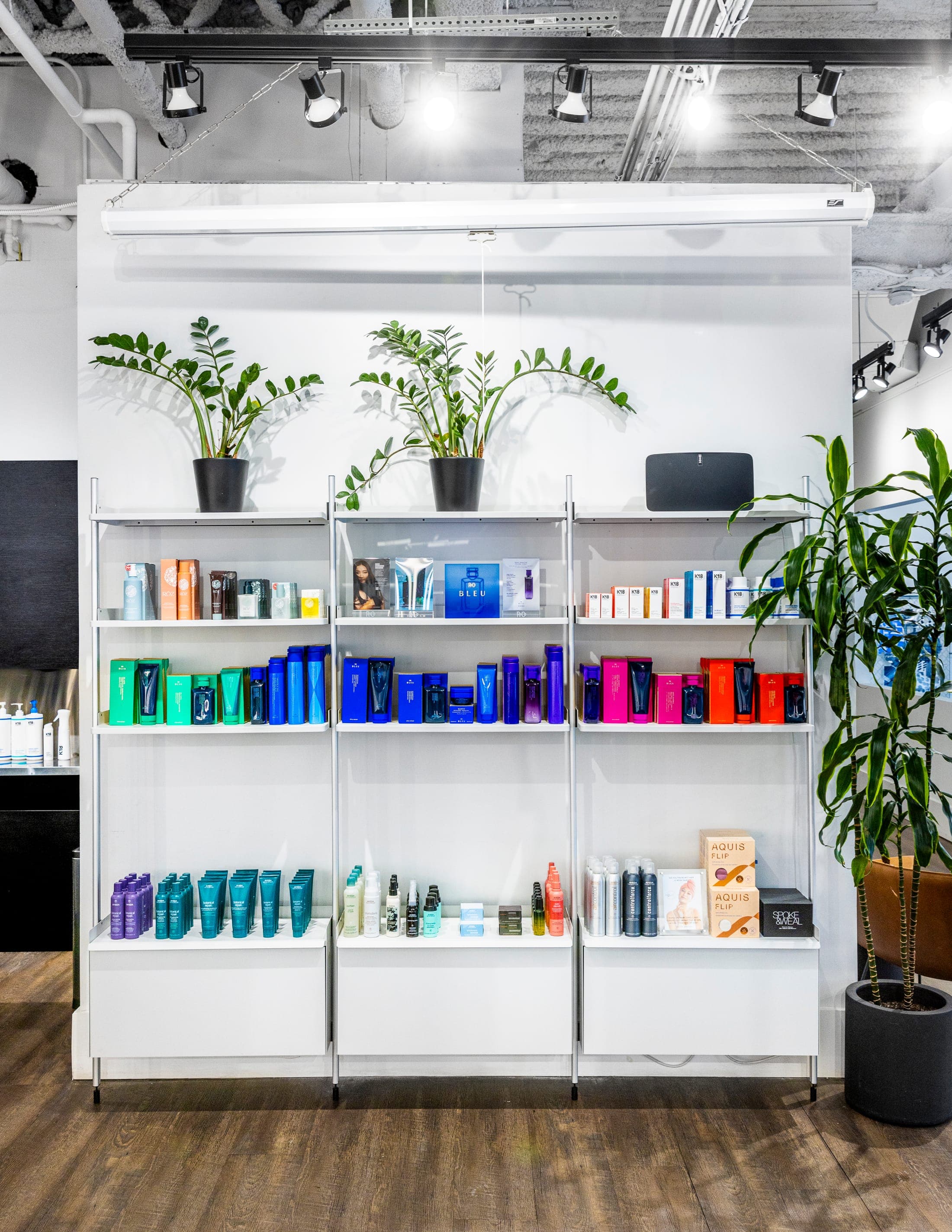 Chicago salon — 5