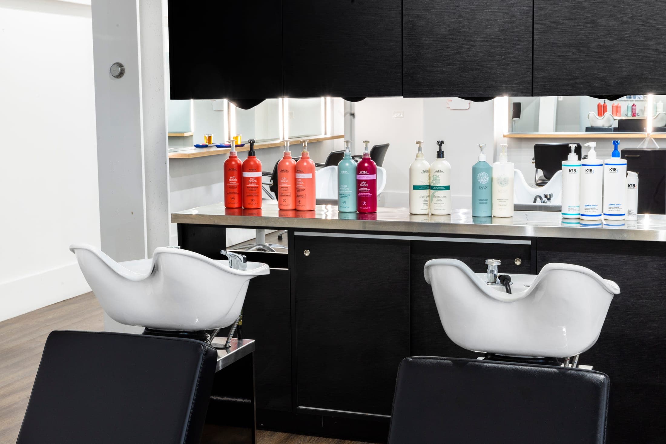 Chicago salon — 6