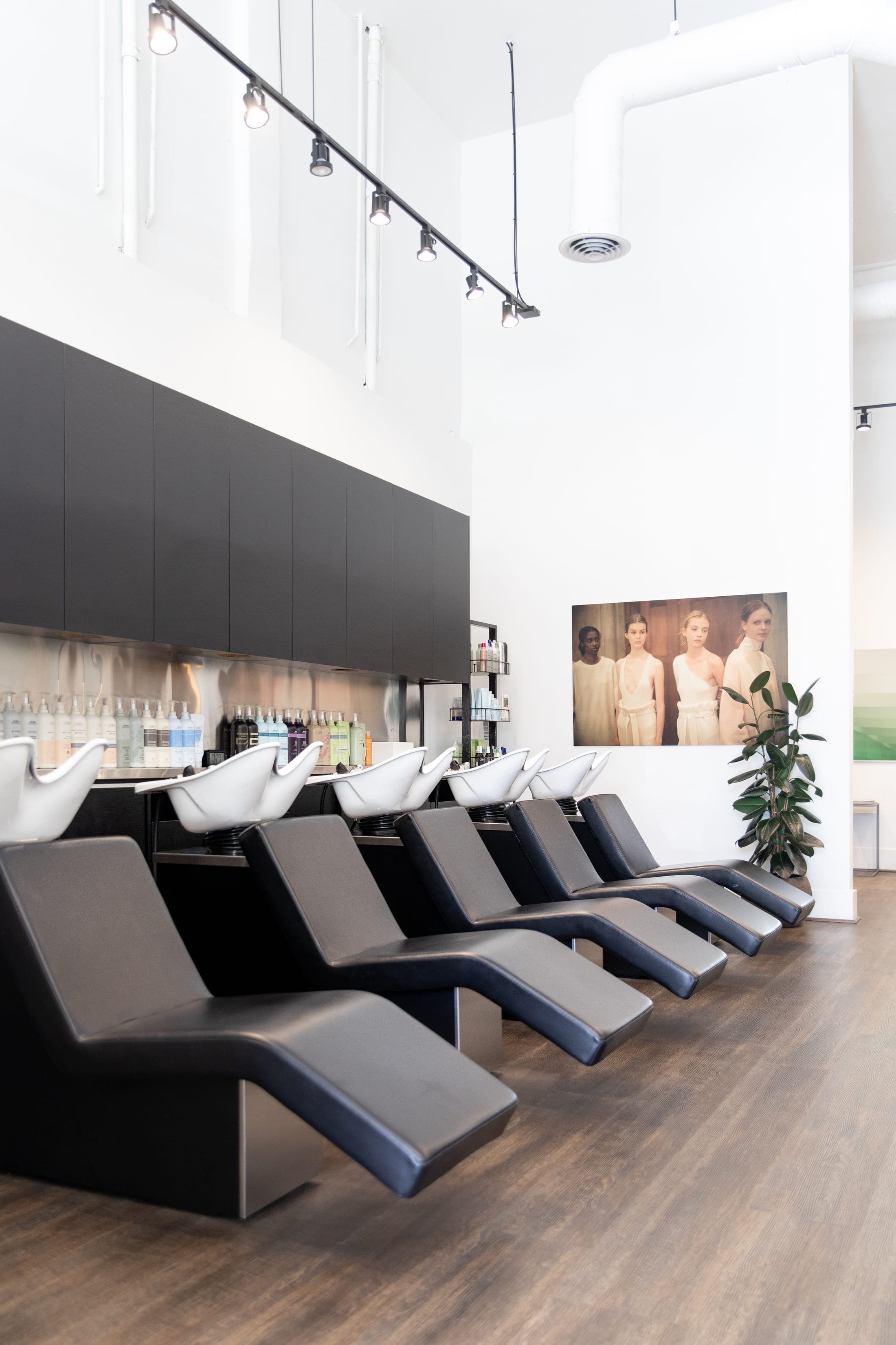 Palo Alto salon — 1